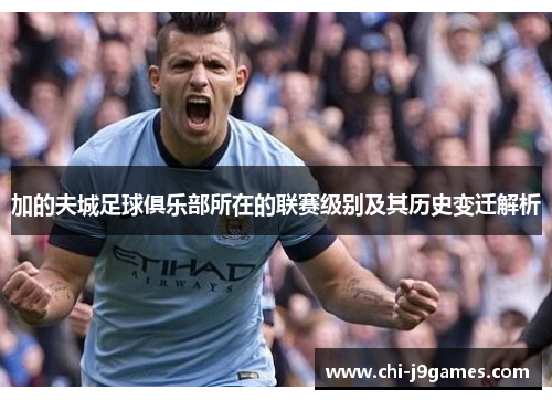 加的夫城足球俱乐部所在的联赛级别及其历史变迁解析